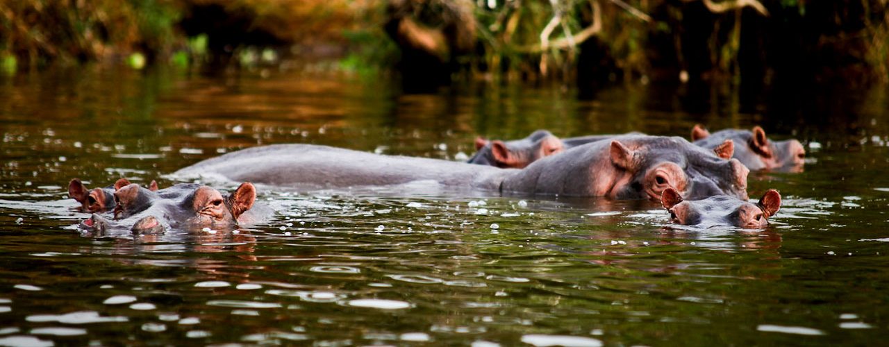 2 Days Lake Mburo NP