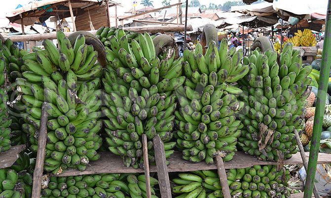 11 DAYS UGANDA: DISCOVERING THE CULTURE