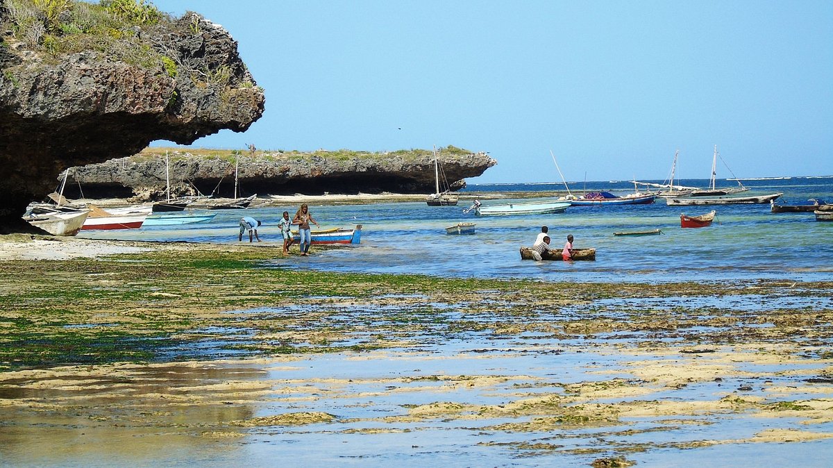 Full-Day Malindi Adventure: Snorkeling, History & Coastal Relaxation